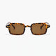 Tortoise/Brown